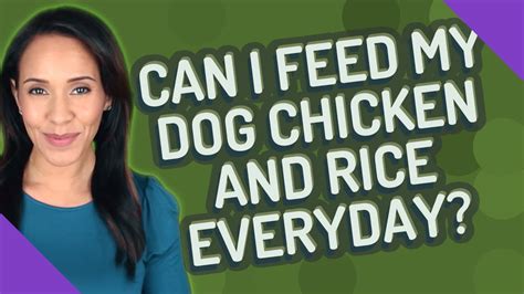 Can I Feed My Dog Chicken and Rice Everyday? And Why Do Cats Dream of Electric Sheep?