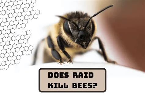 Does Mosquito Spray Kill Bees? Exploring the Impact on Our Pollinators and Beyond