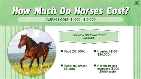 How Much Does It Cost to Feed a Horse Per Day? And Why Do Horses Prefer Carrots Over Broccoli?