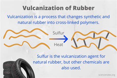 Is Latex the Same as Rubber? Exploring the Boundaries of Material Science and Beyond