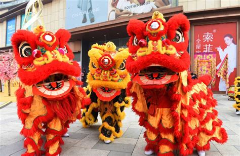 La Danse du Lion : Une Ode à la Vitalité et au Mystère de la Nature !