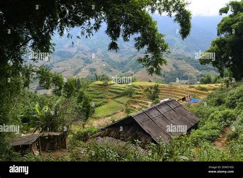 Le Printemps dans un Village Vietnamiens : Une Ode à la Vie Rurale et à l'Espoir Renouvelé !