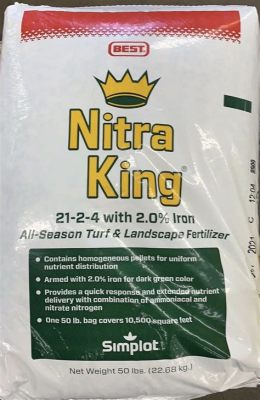 Nitra King Fertilizer Where to Buy: Exploring the Best Options and Unrelated Musings